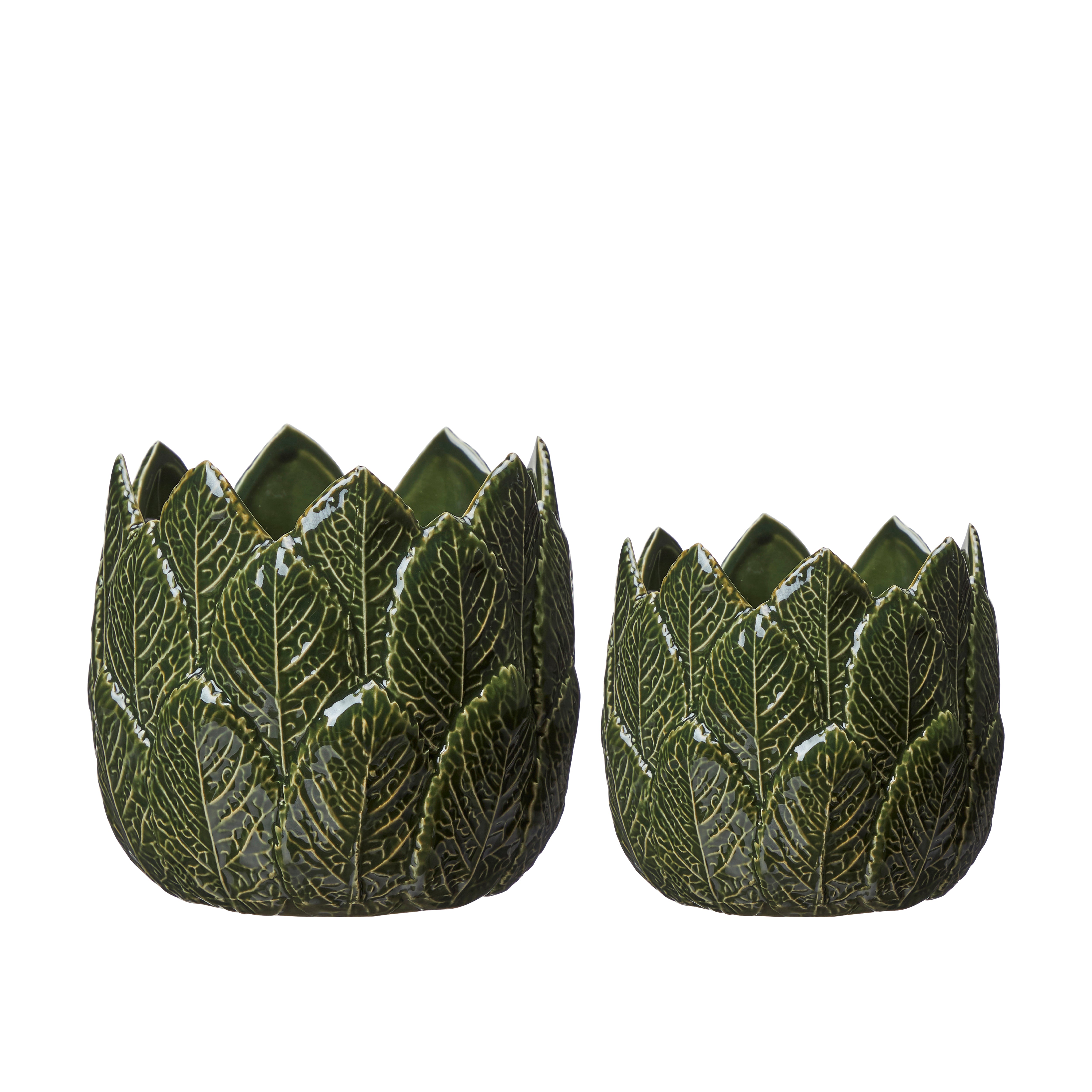 Nea Green Glazed Leaf Design Pots