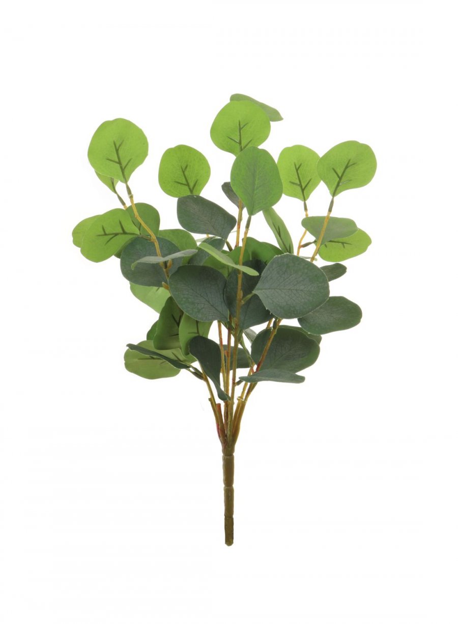 Eucalyptus Spray - Green