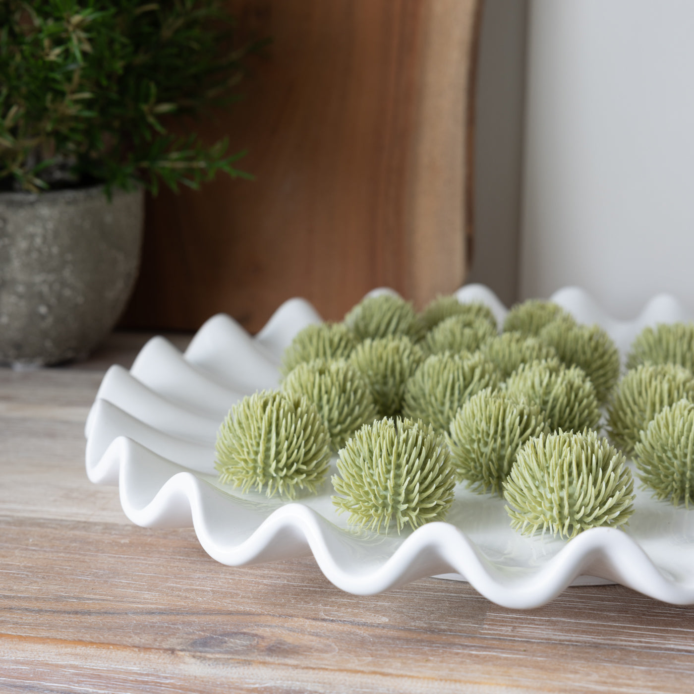 Bag of 24 Green Echinops Balls