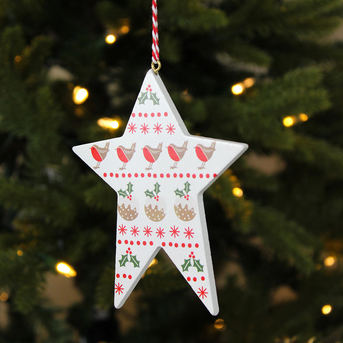 Wooden Heart/Star Decoration