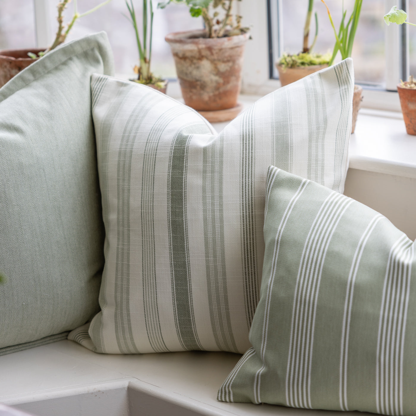 Darwin Lovage Green Stripe Cushion