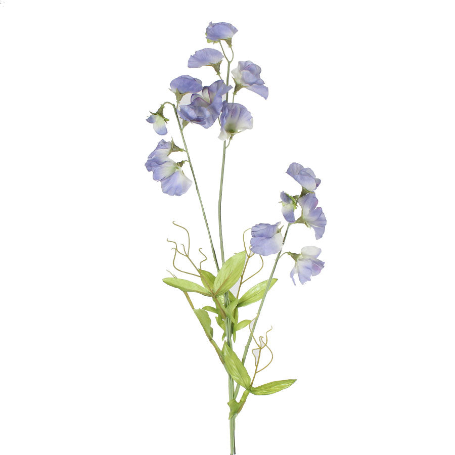 Sweet Pea Spray