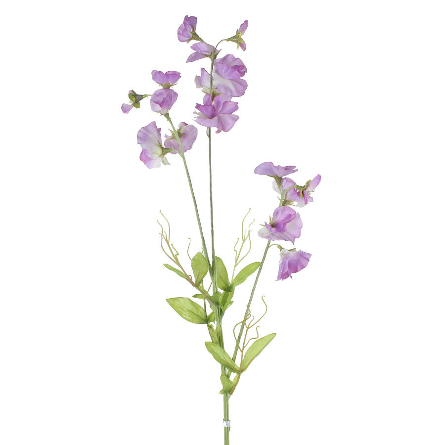 Sweet Pea Spray