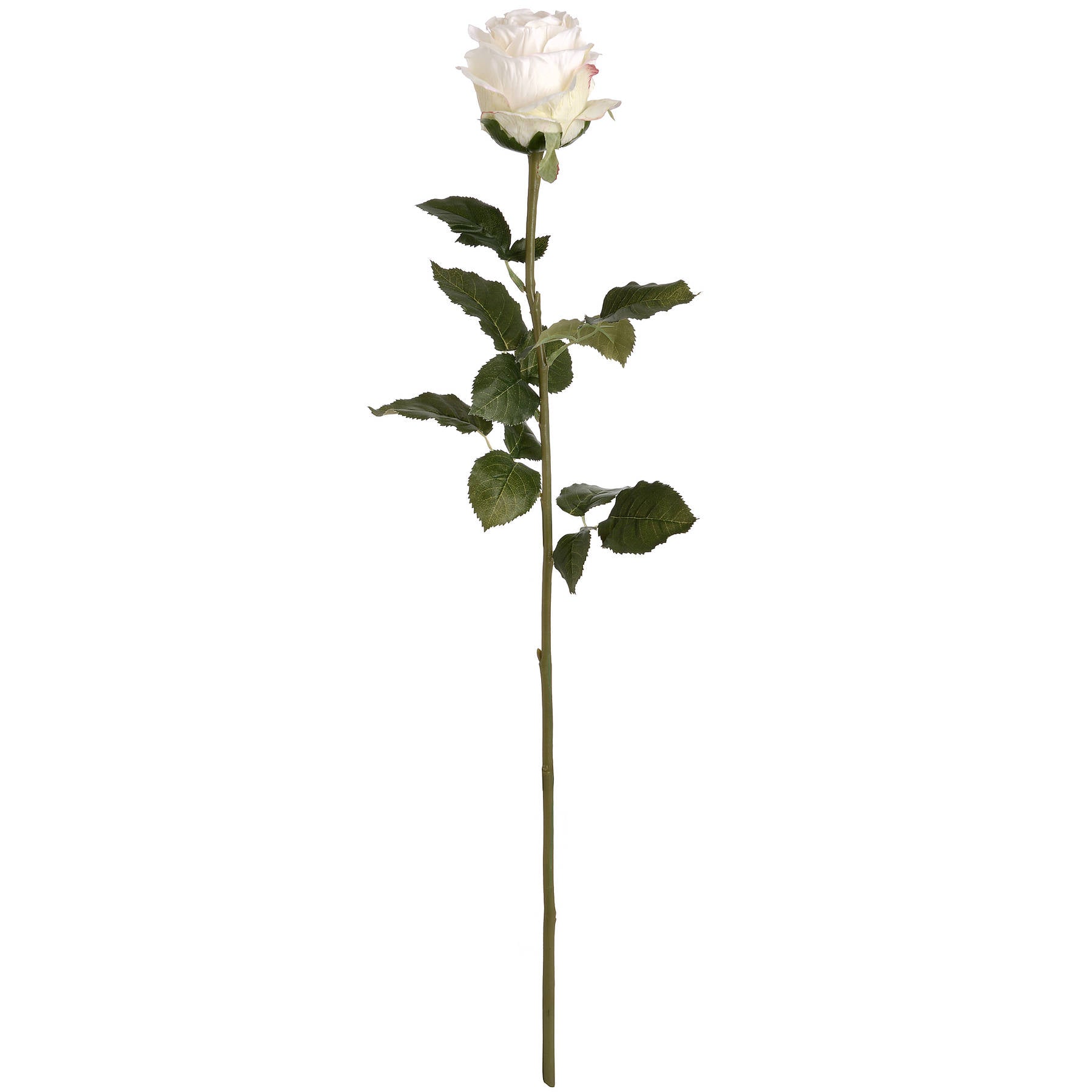 Faux Traditional White Rose Stem