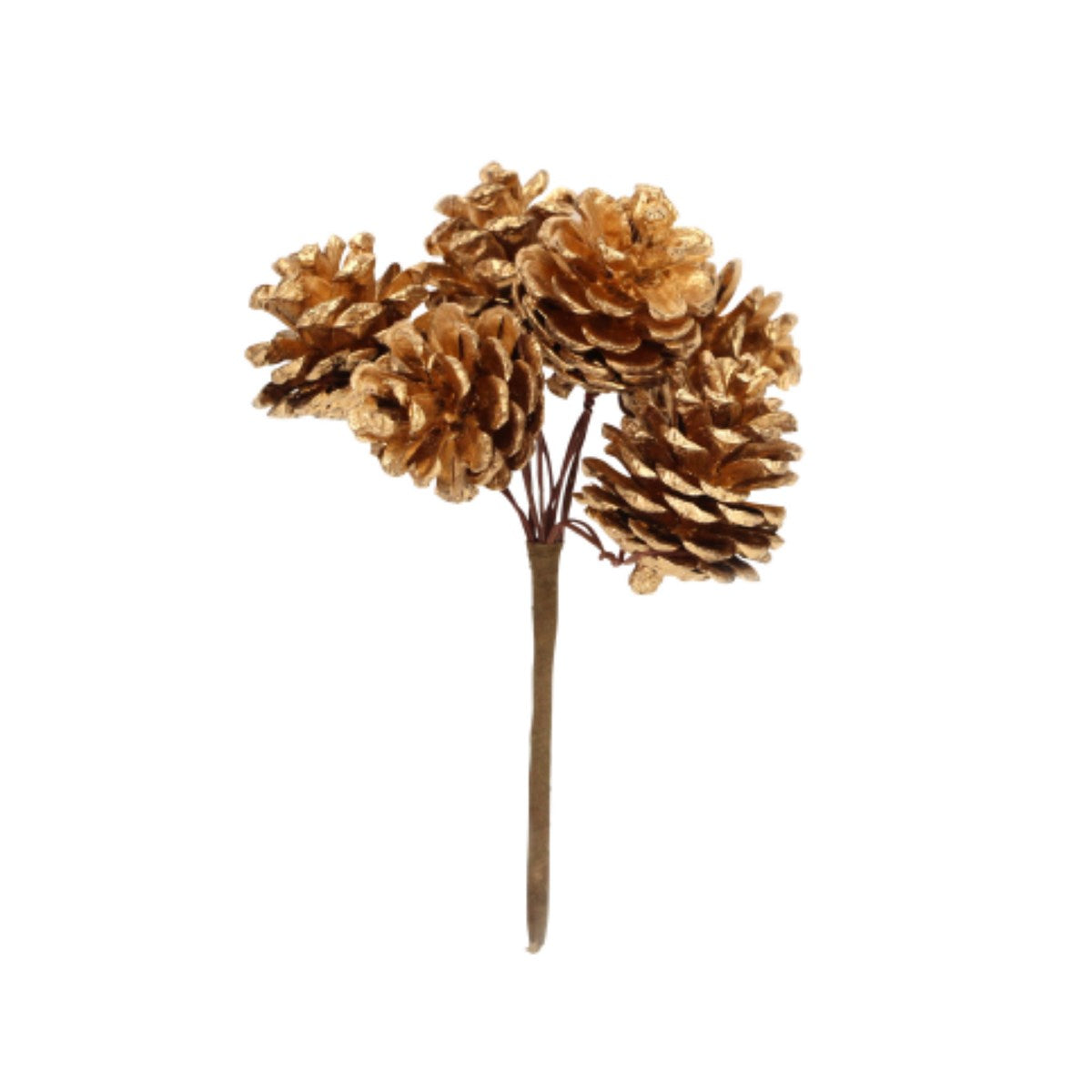 Gold Natural Pinecone Bunch