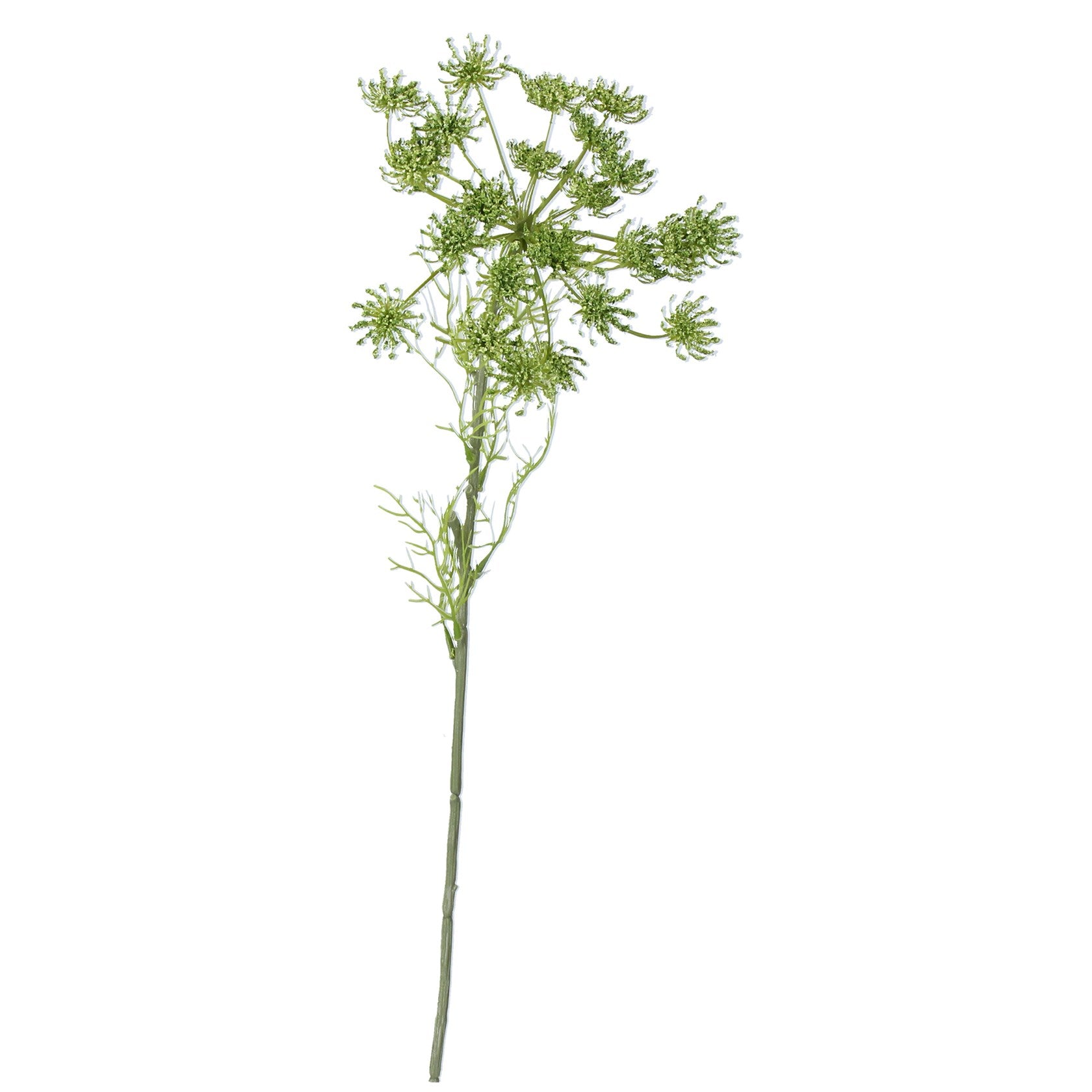 Faux Green Queen Annes Lace Stem