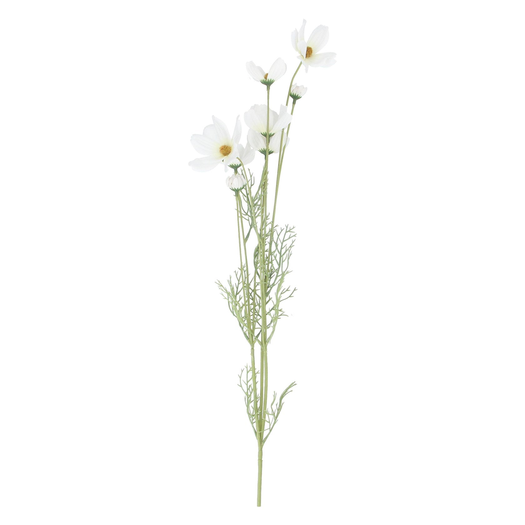 White Cosmos Spray