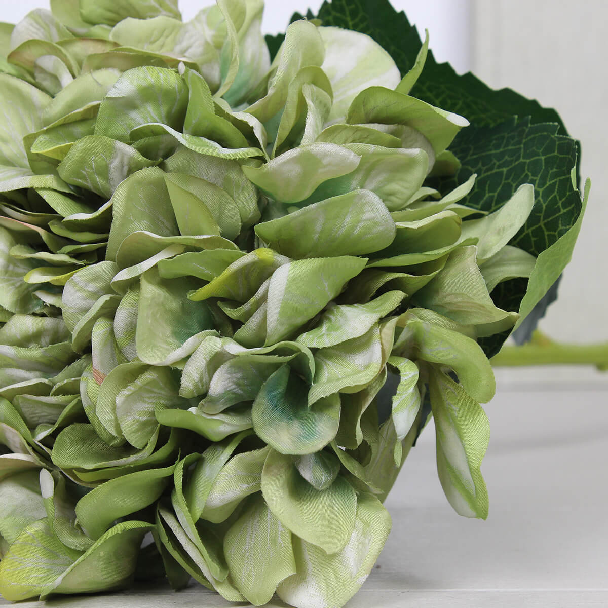 Antique Green Giant Hydrangea Stem