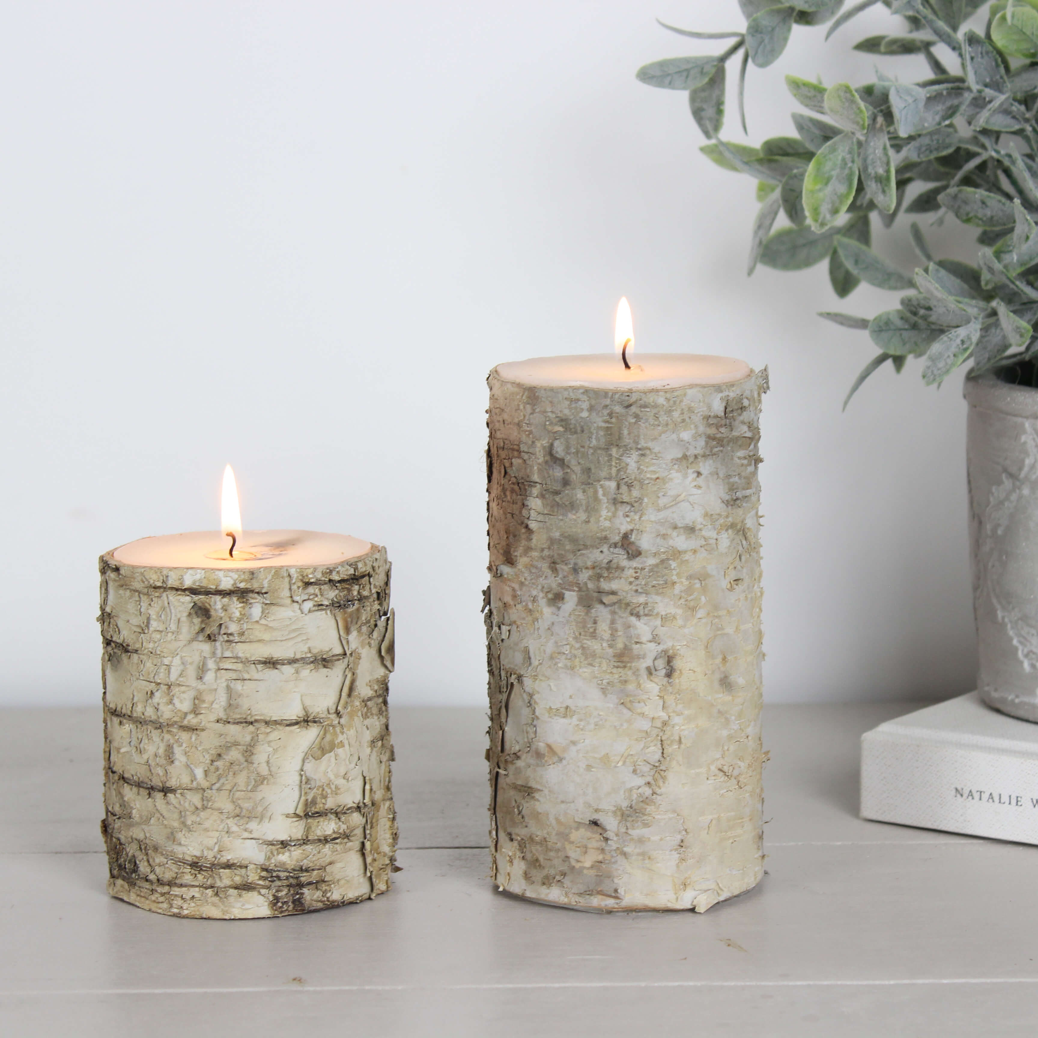 Medium Birch Bark Candle
