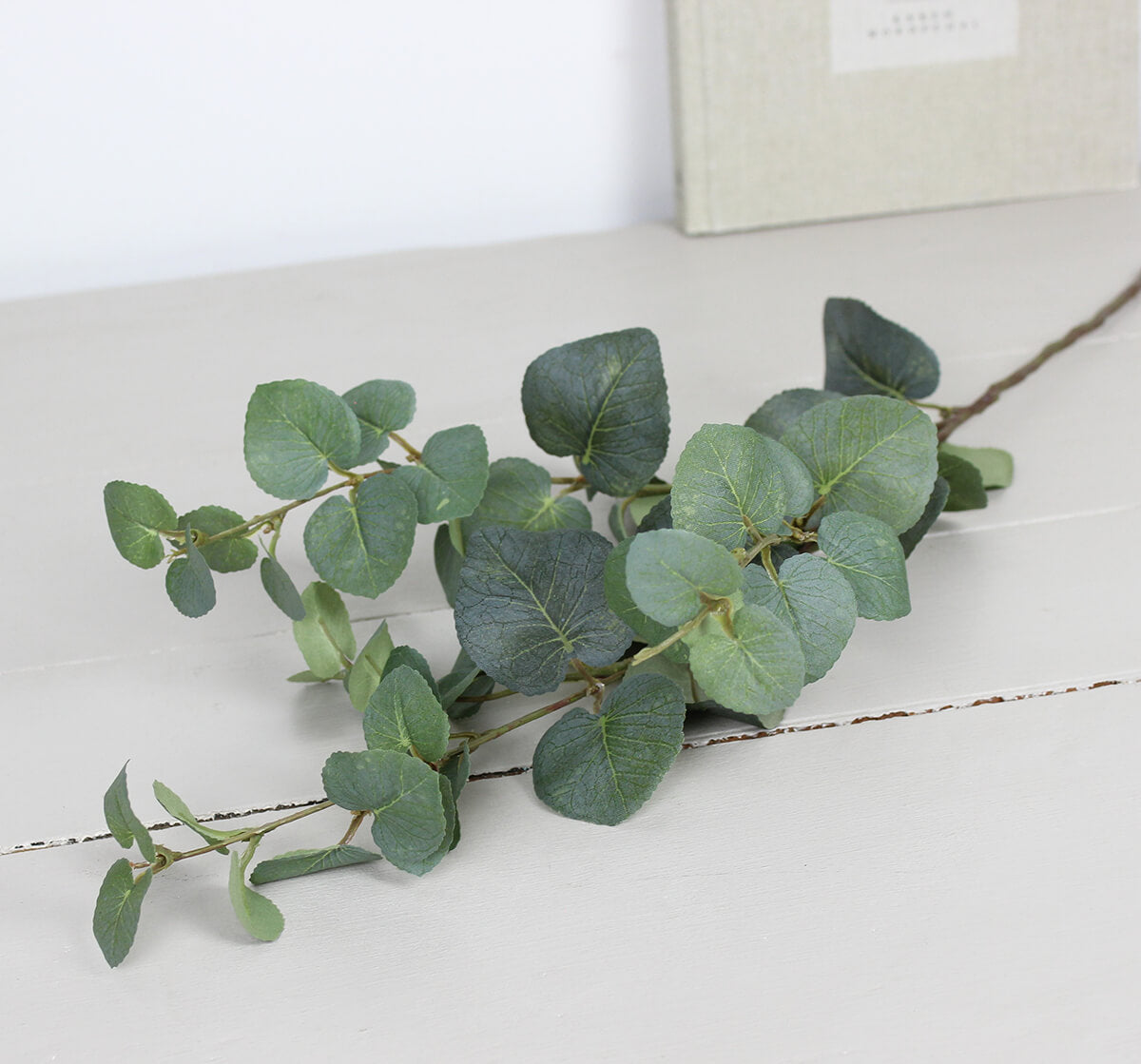 Natural Eucalyptus Spray