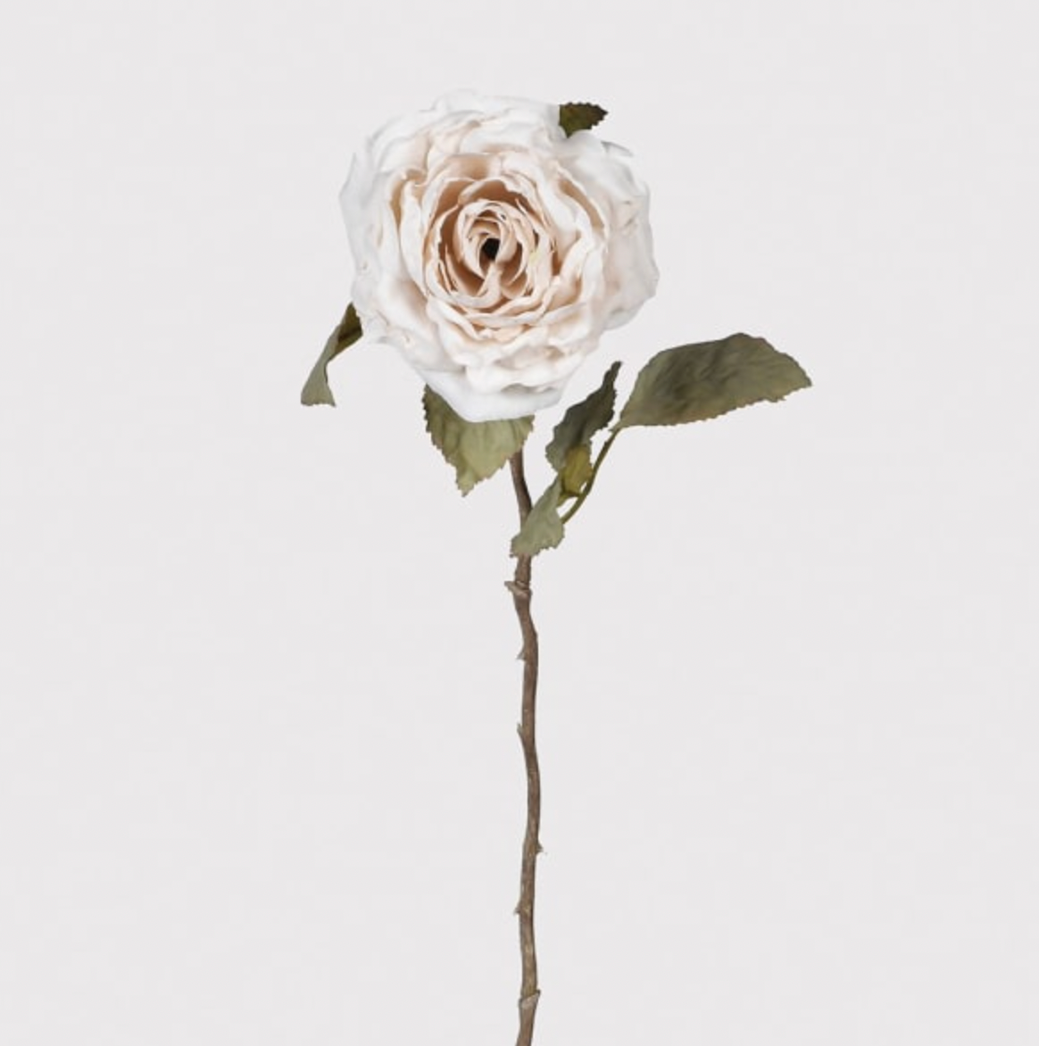 Baby Pink Rose Spray with Leaves