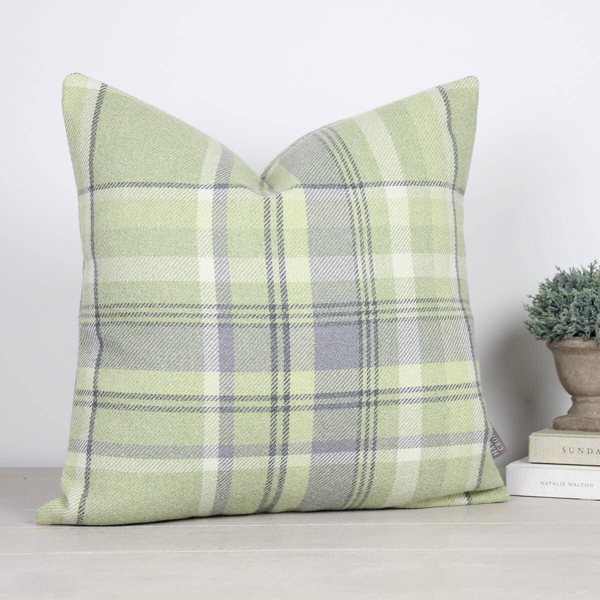 Sage Skye Checked Cushion