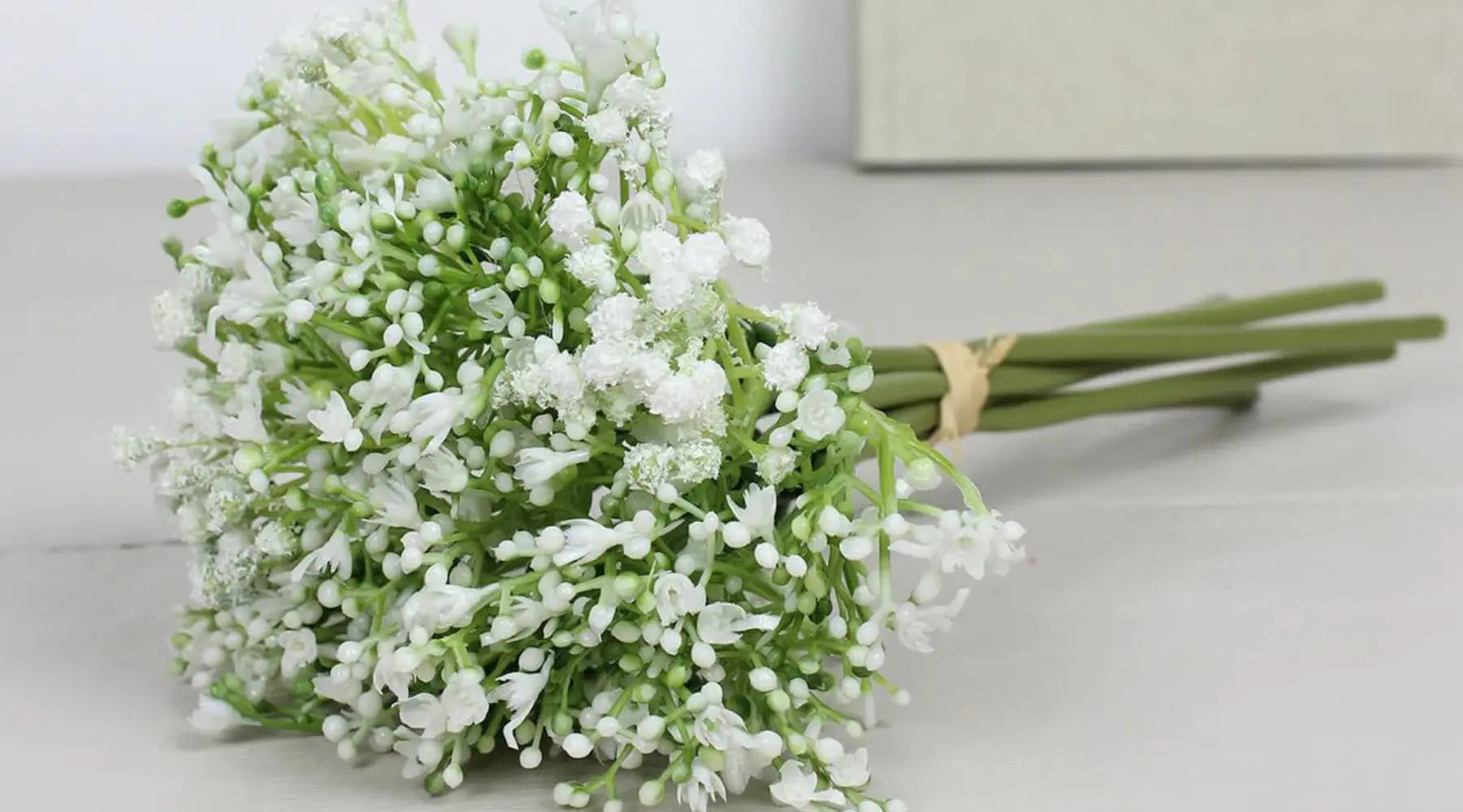 Spring Homewares at Harrison Cropper