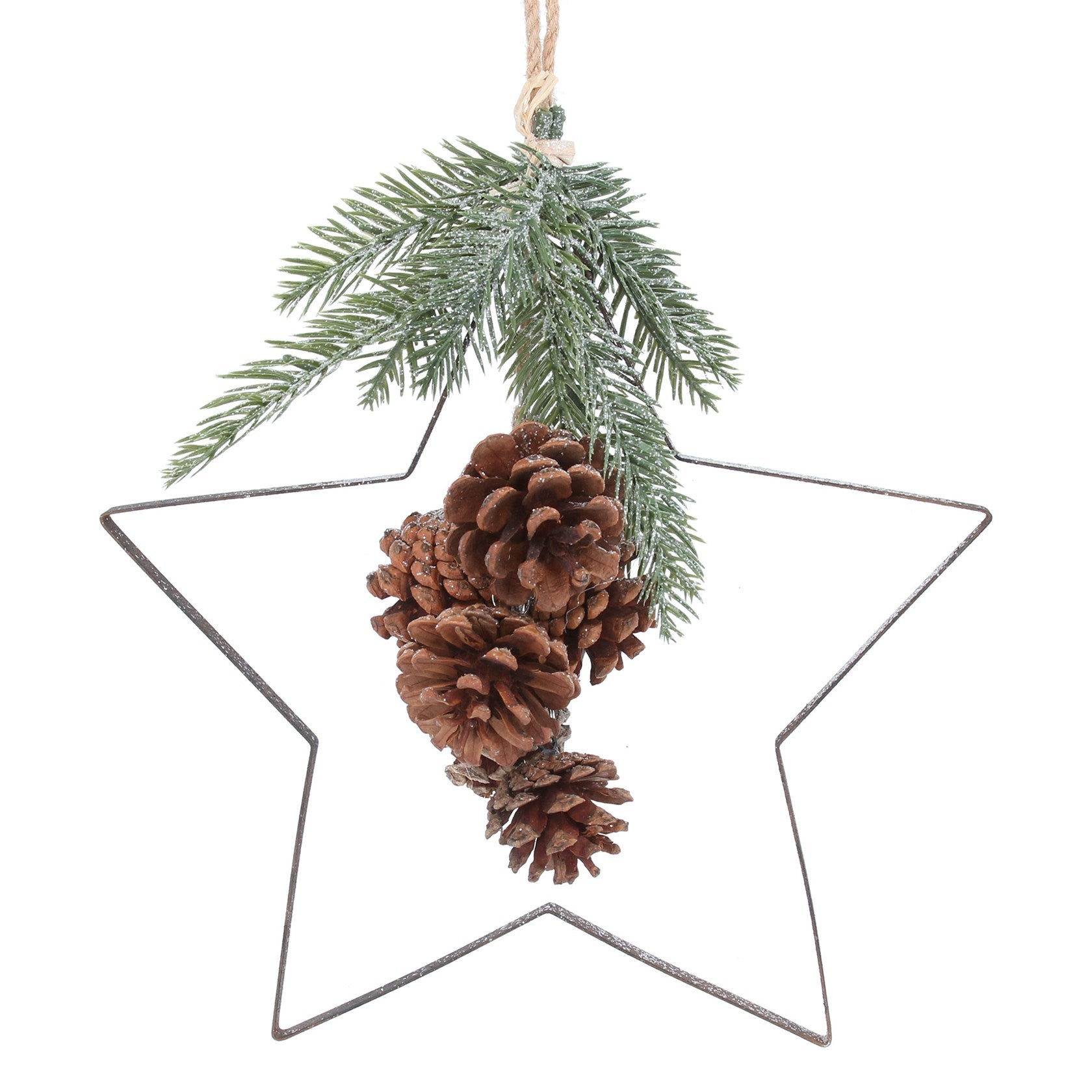Metal Cutout Star Decoration with Fir and Pine