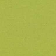 Linara Basil Roman Blind