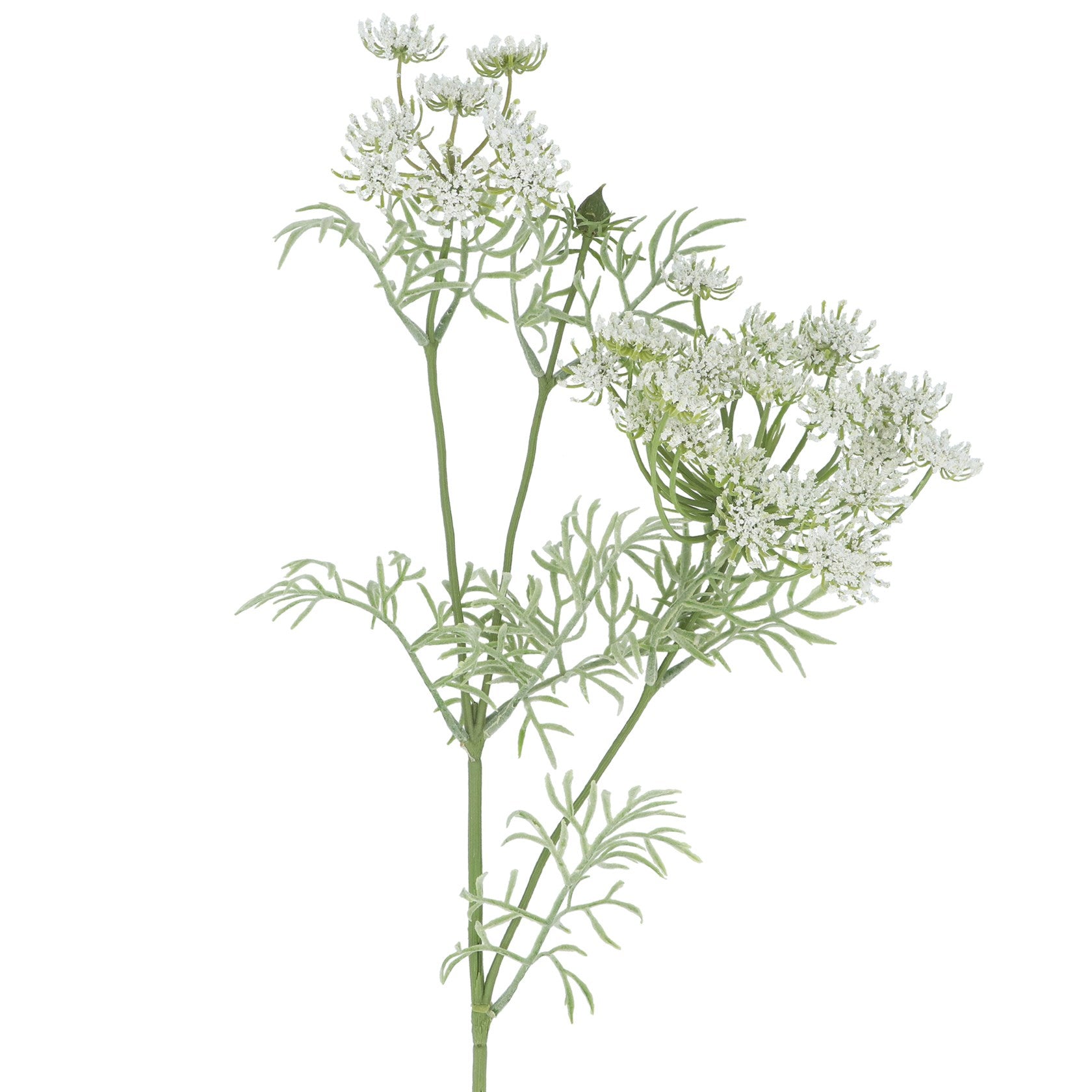 Faux Cow Parsley Spray