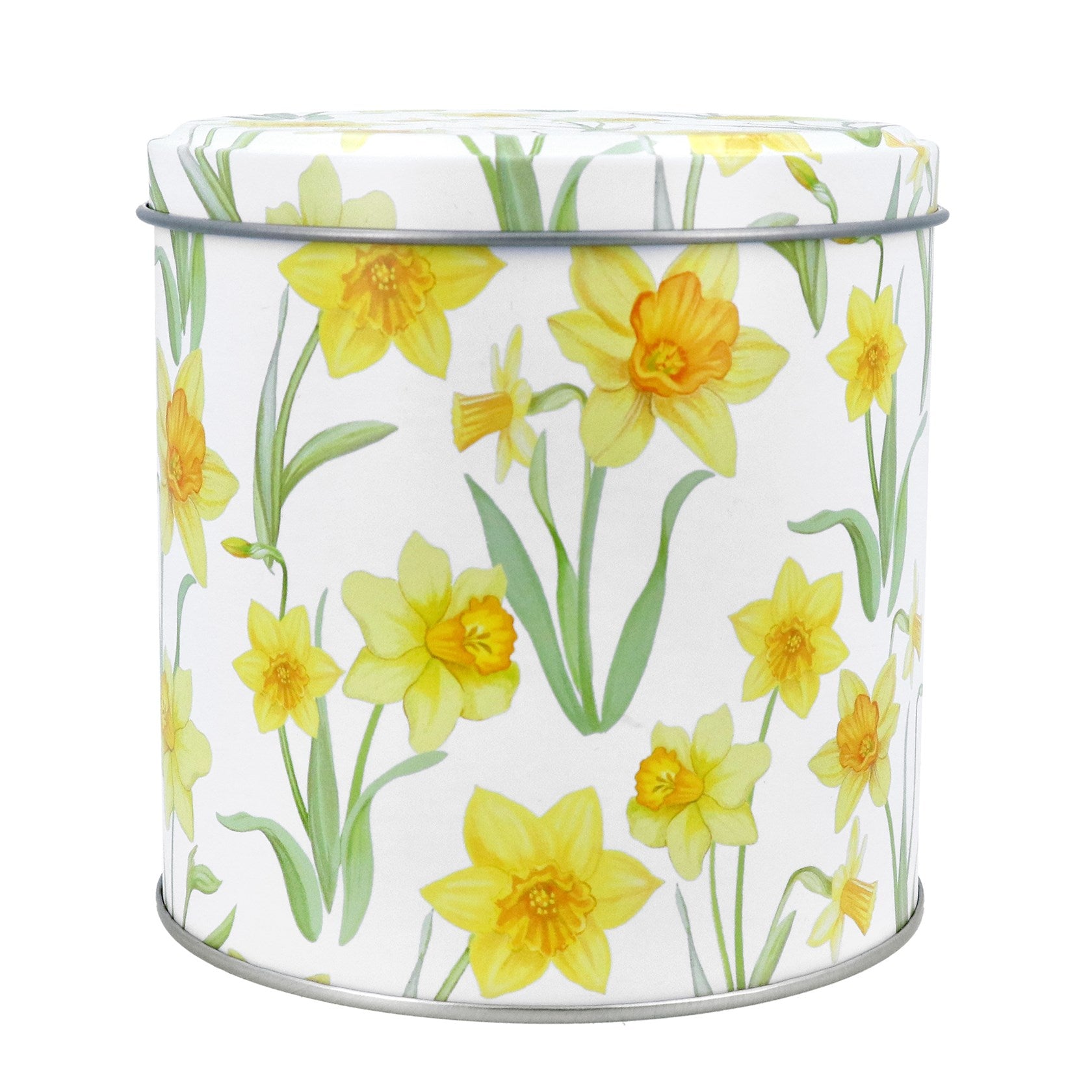 Daffodil Tin Cannister