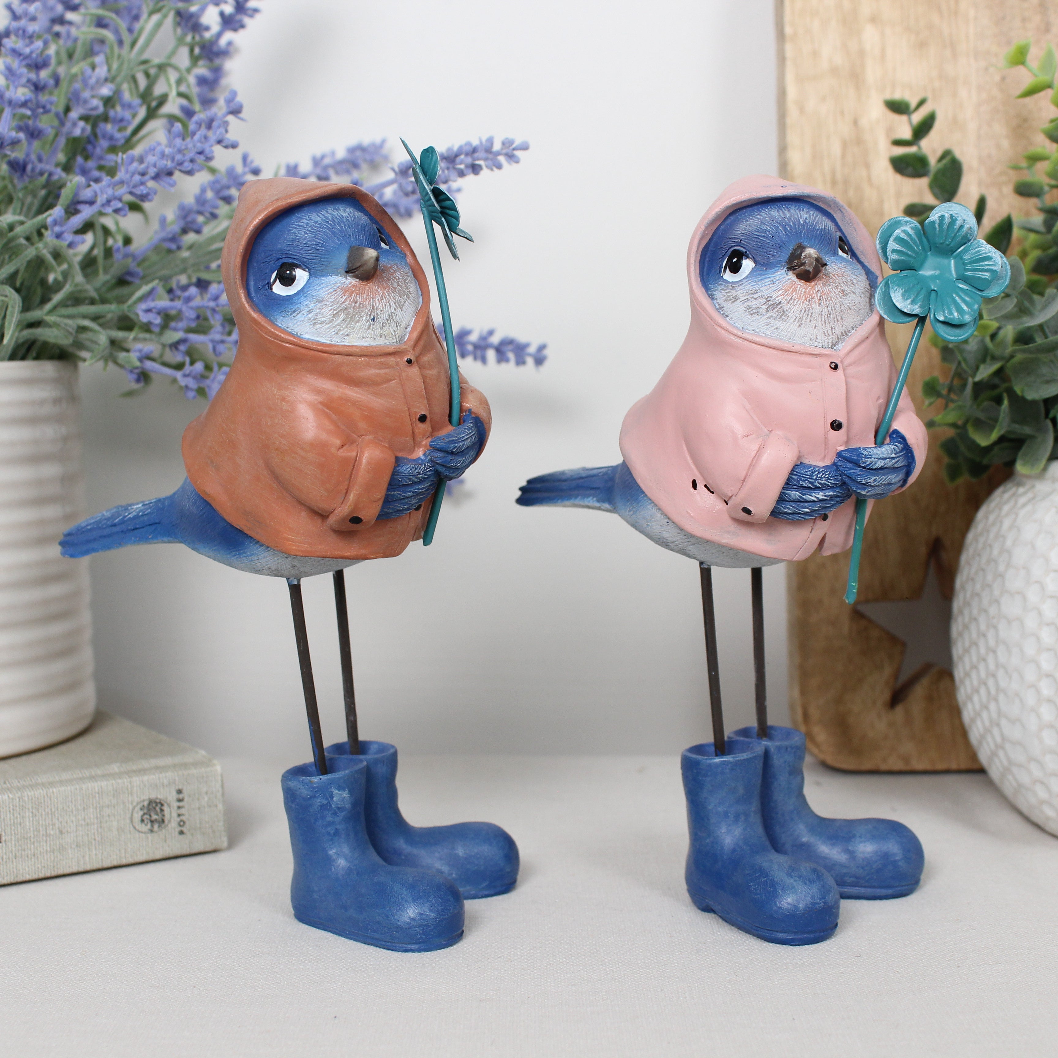Standing Birds In Boots