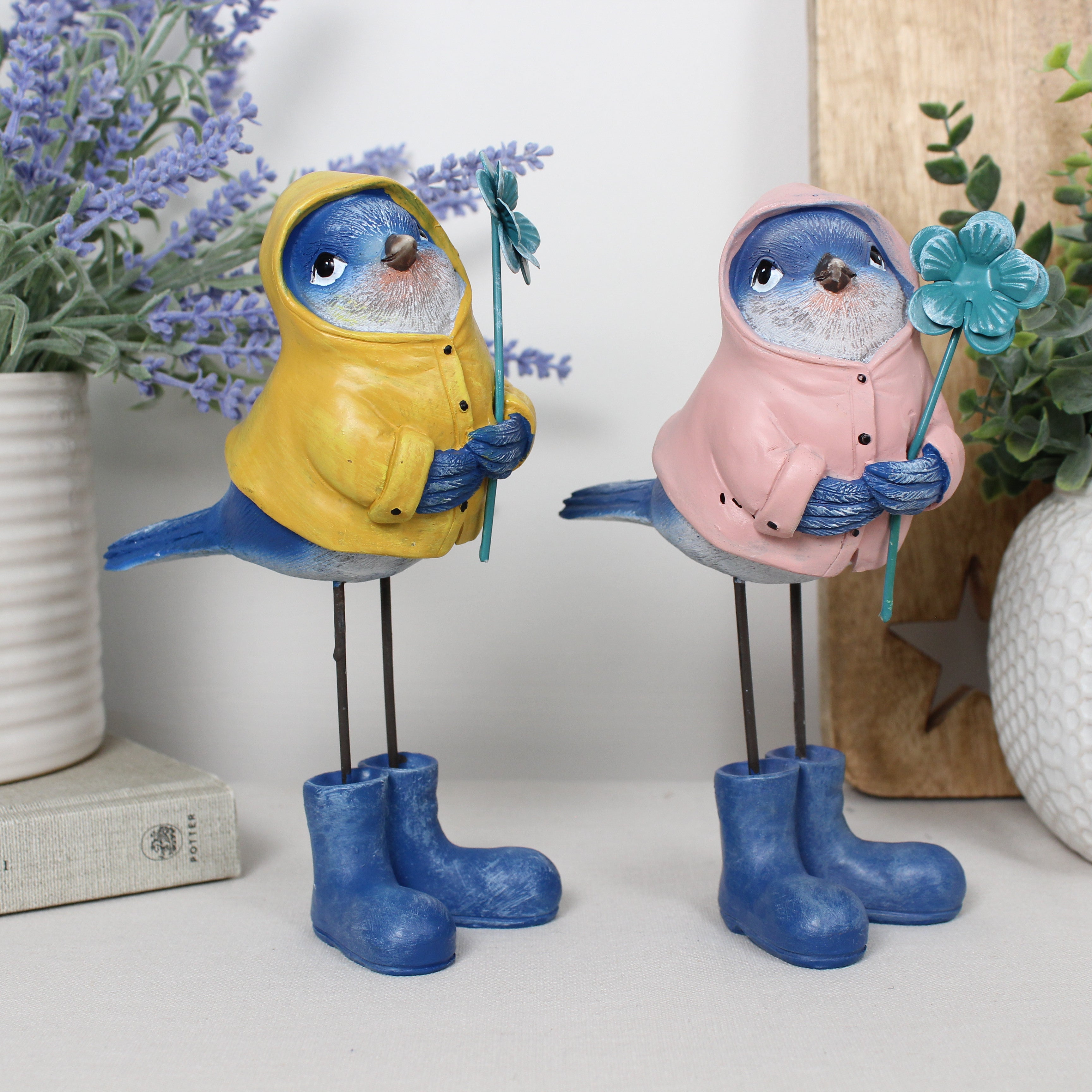 Standing Birds In Boots