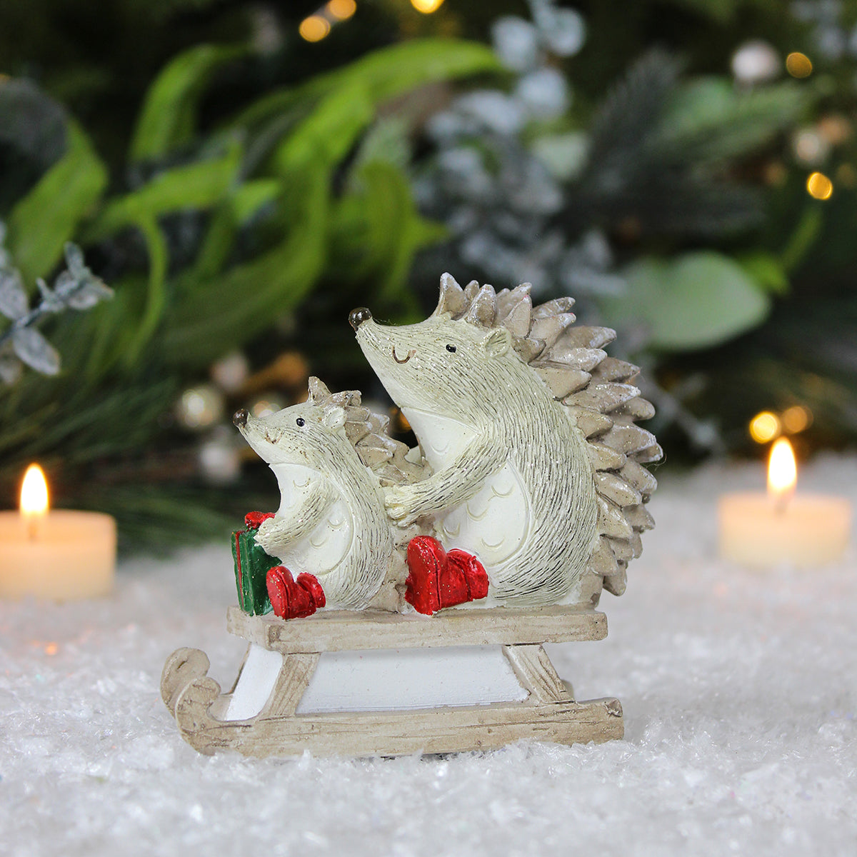 Sledging Hedgehogs