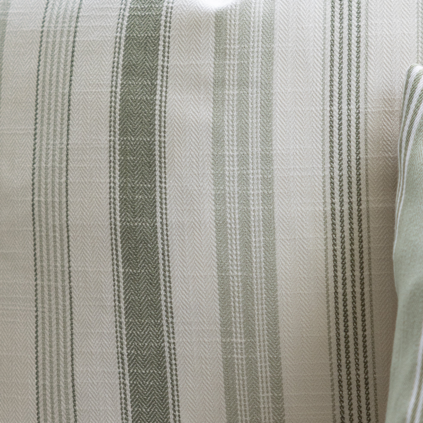 Darwin Lovage Green Stripe Cushion