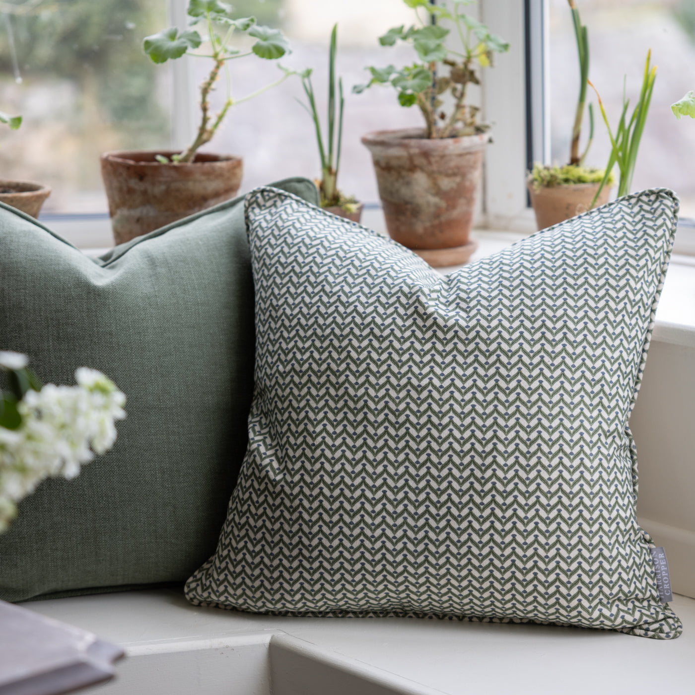 Galatzo Olive Square Cushion