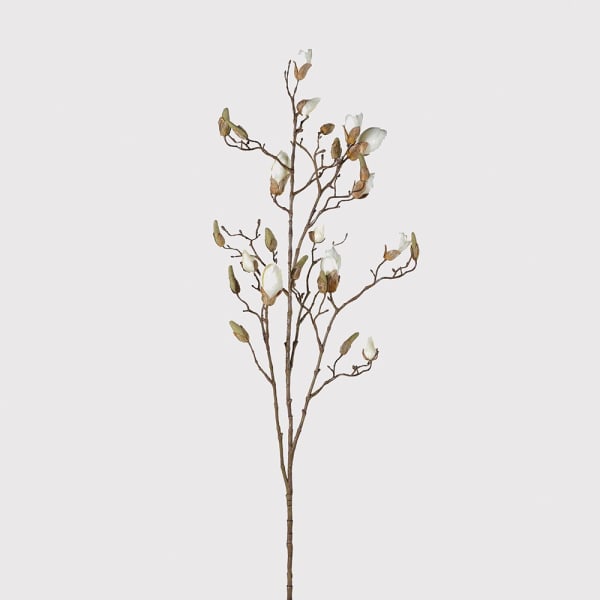 Natural Ivory Magnolia Bud Branch