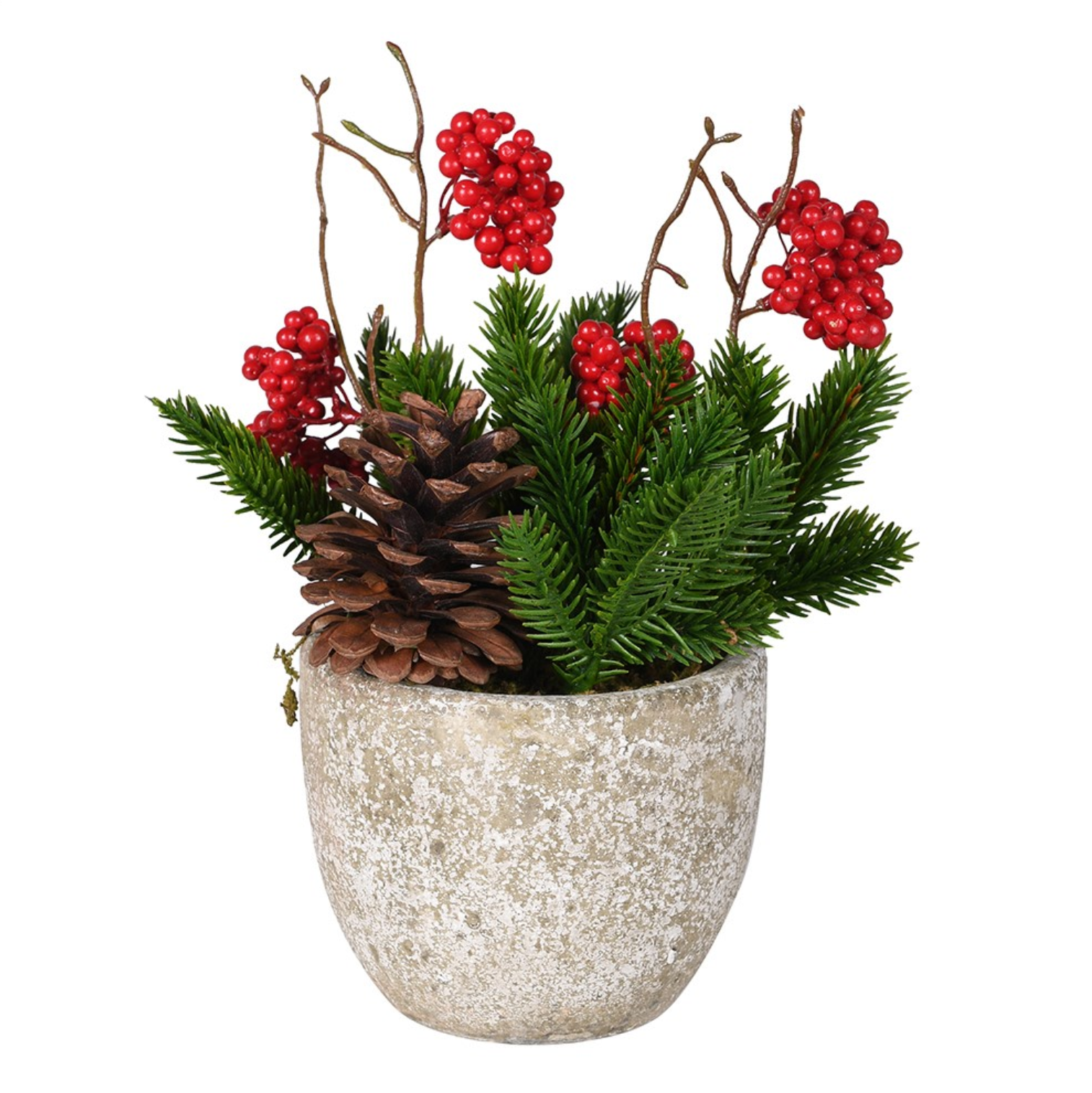 Pine, Berries & Cone in Pot