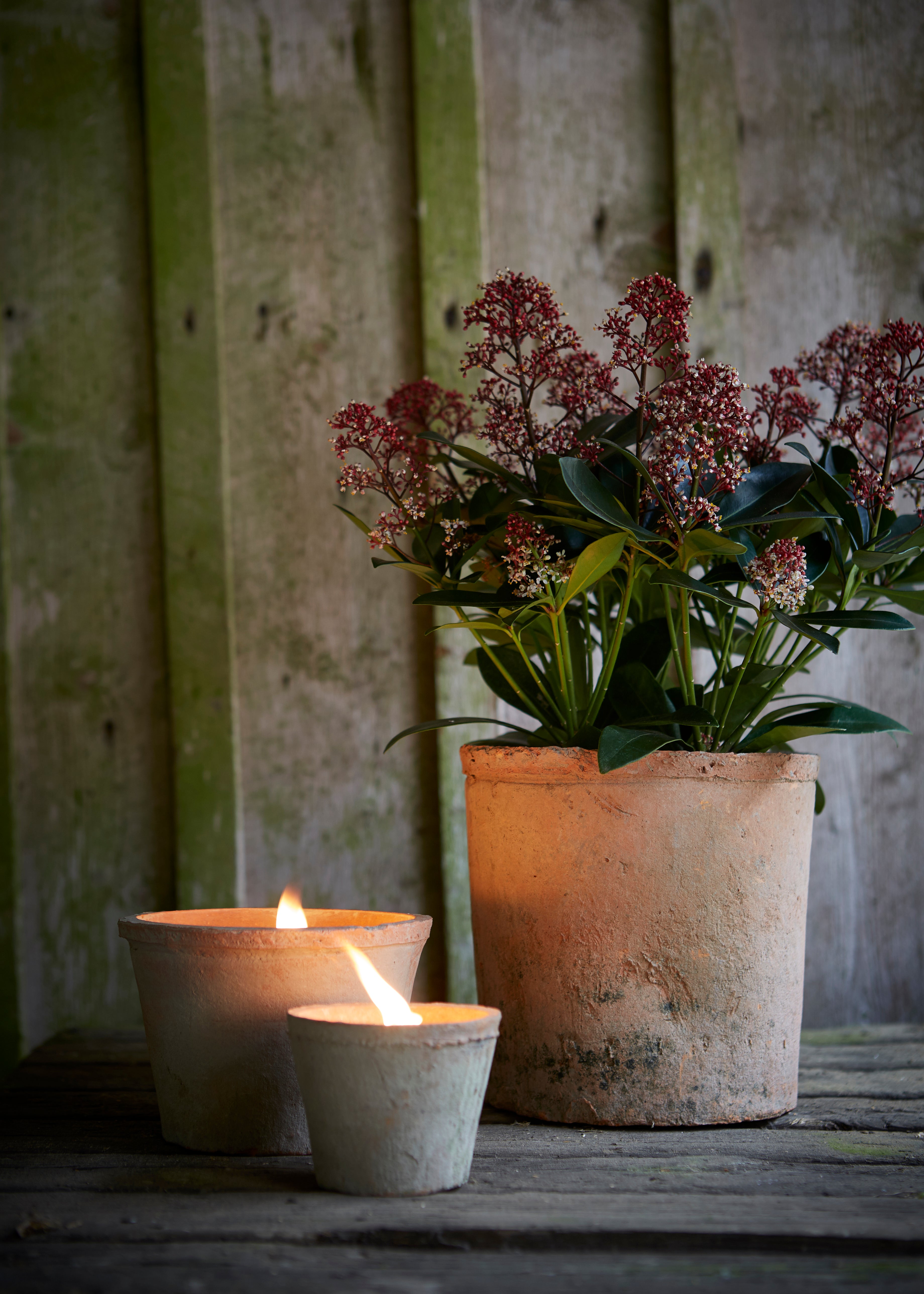 Alison Rustic Potted Candles