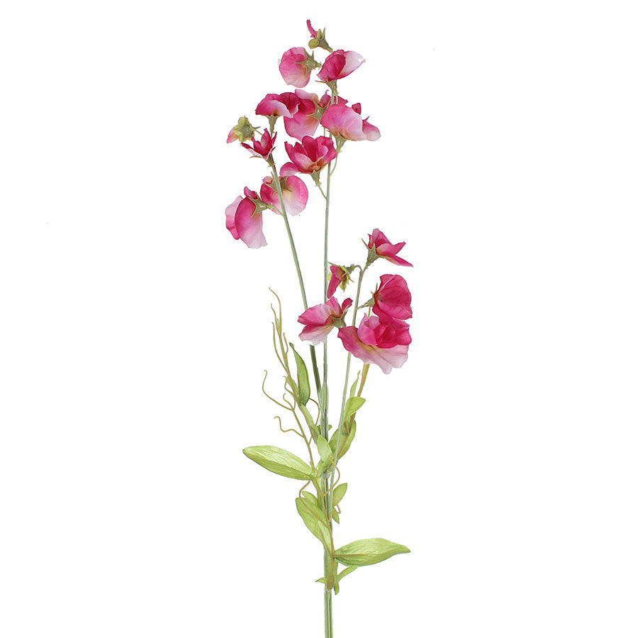 Sweet Pea Spray