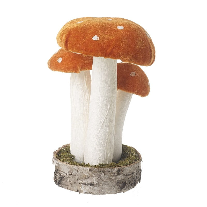 Velvet Orange Standing Toadstools