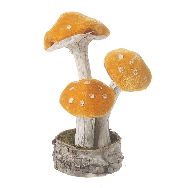 Velvet Orange Standing Toadstools