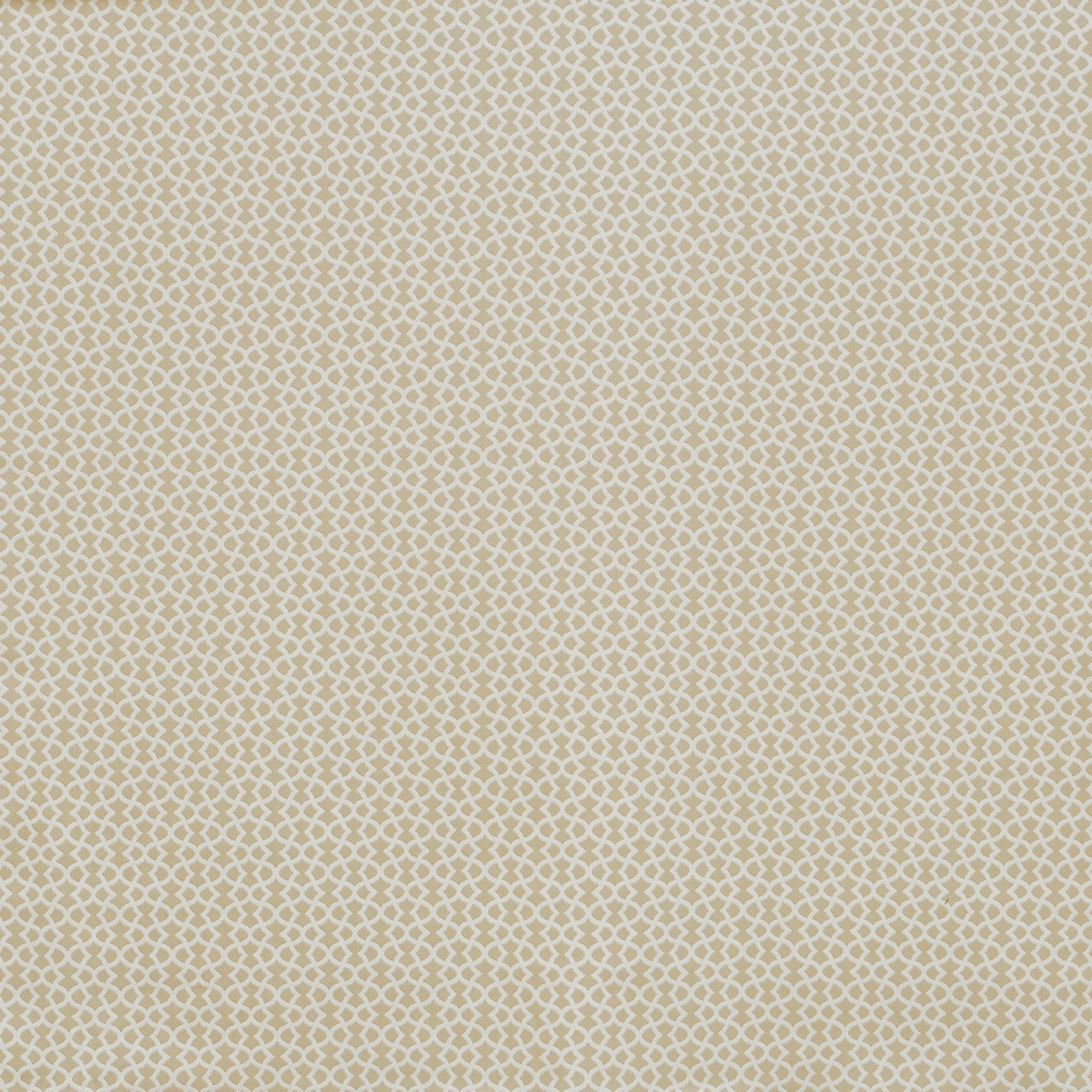 Ivy Pampas Roman Blind