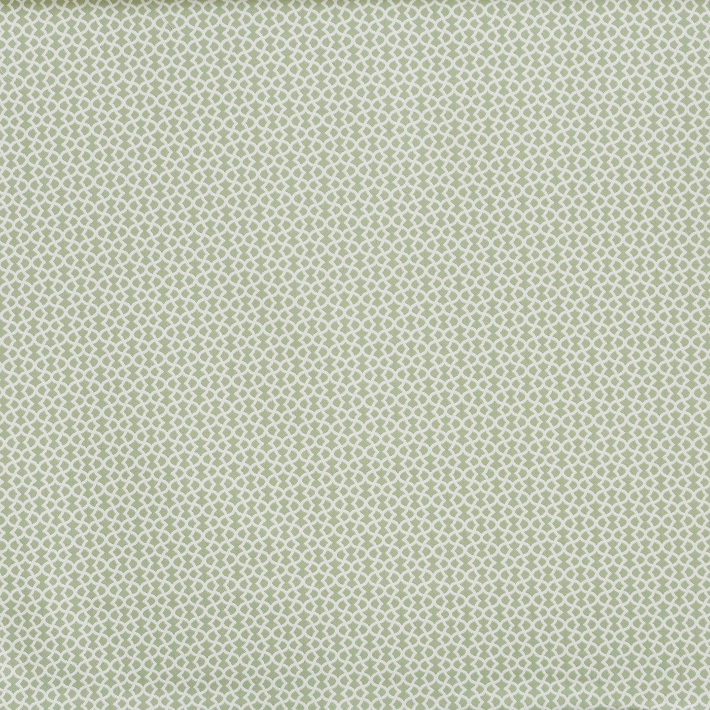 Ivy Basil Roman Blind