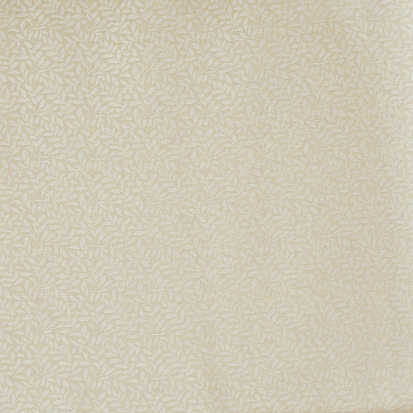 Sapling Pampas Roman Blind