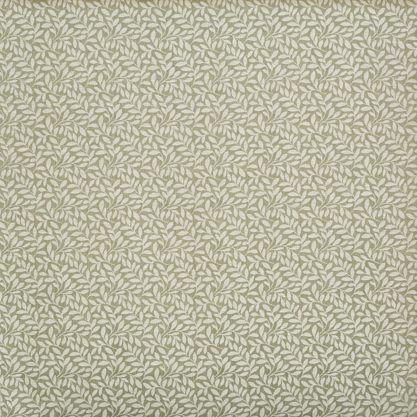 Sapling Basil Roman Blind