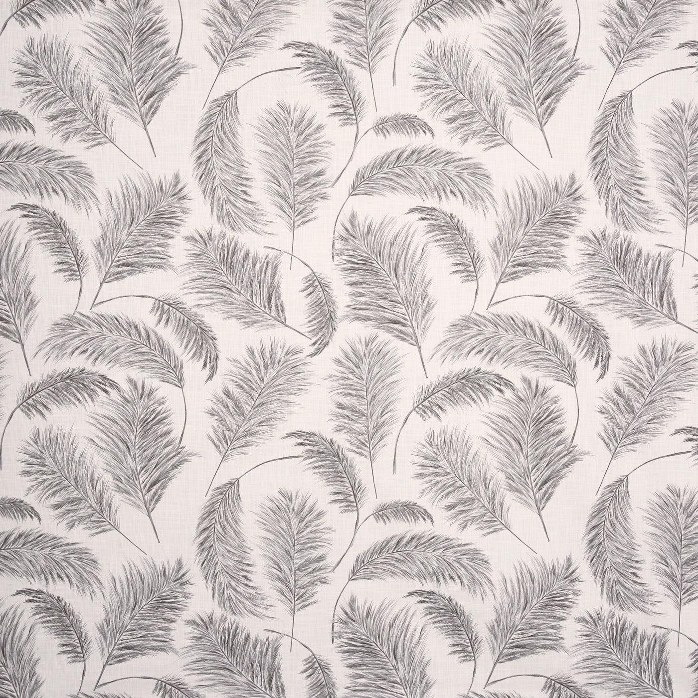 Pampas Grass Frost Roman Blind