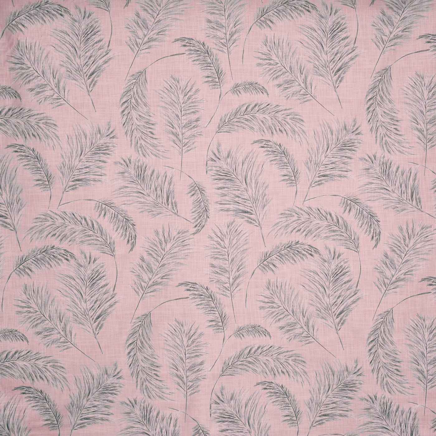 Pampas Grass Woodrose Roman Blind