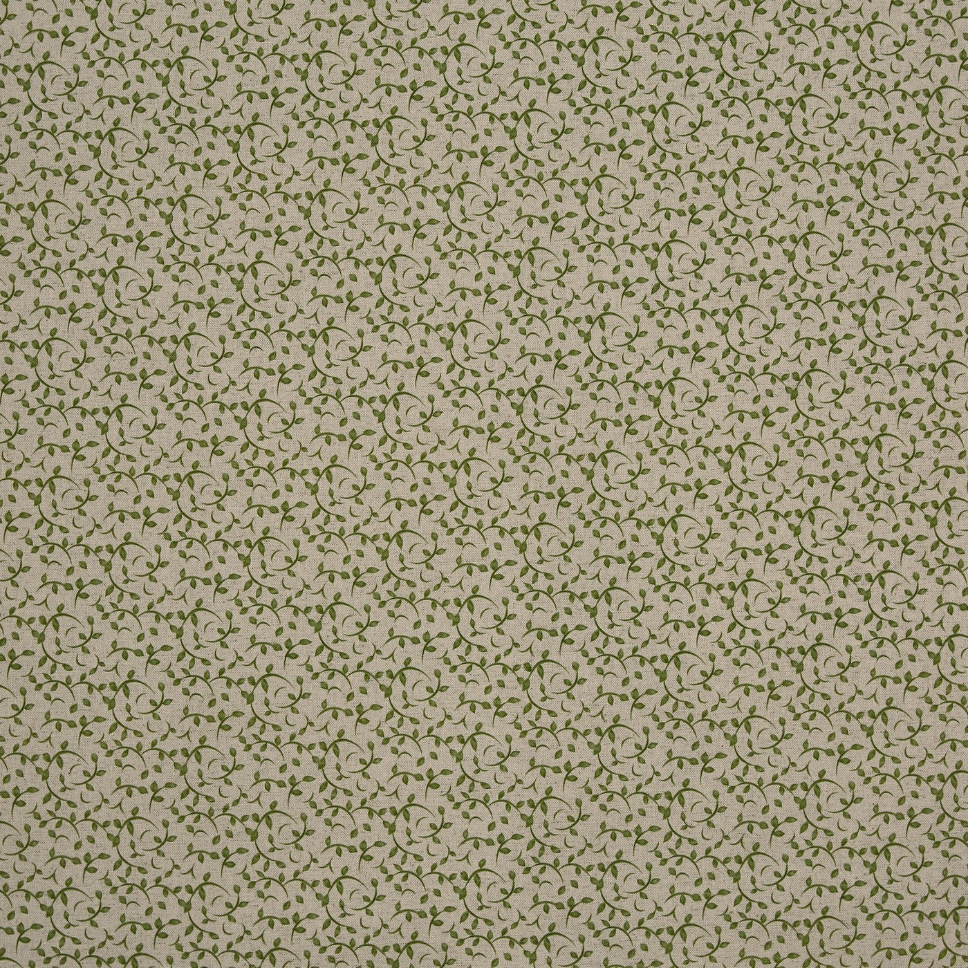 Syon Fennel Curtains