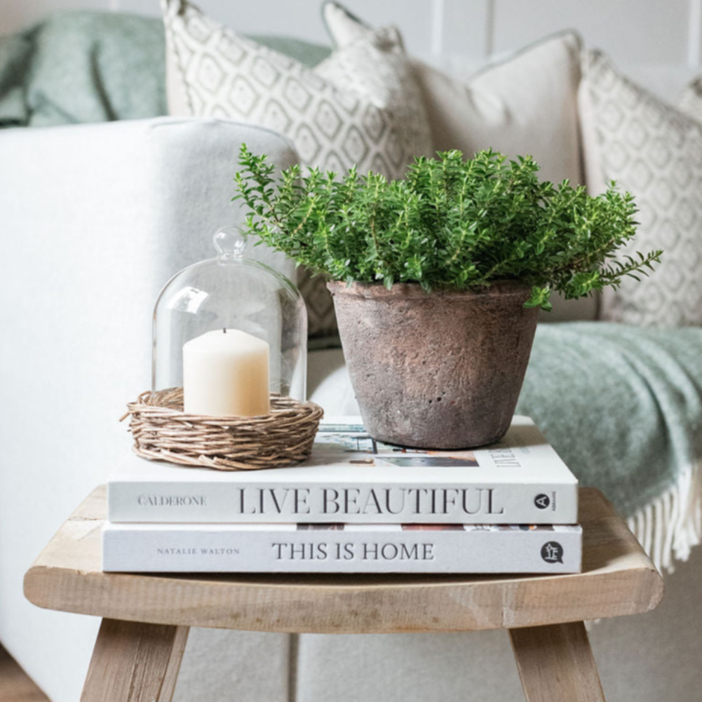 Liria Brown Textured Pots