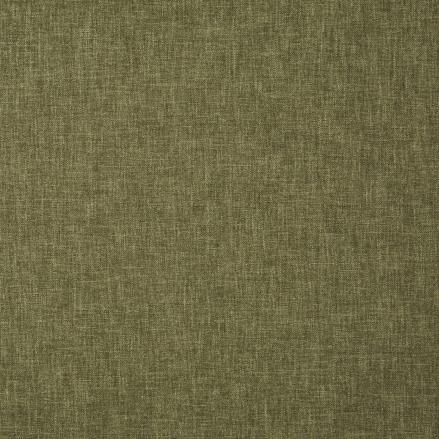 Oslo Fern Roman Blind