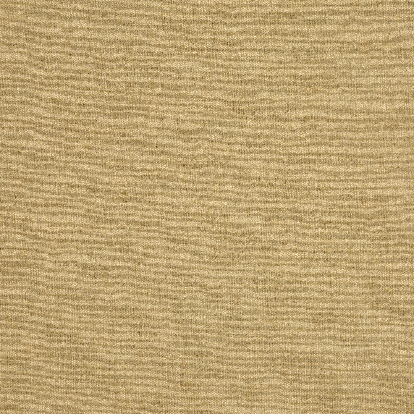 Saxon Barley Roman Blind