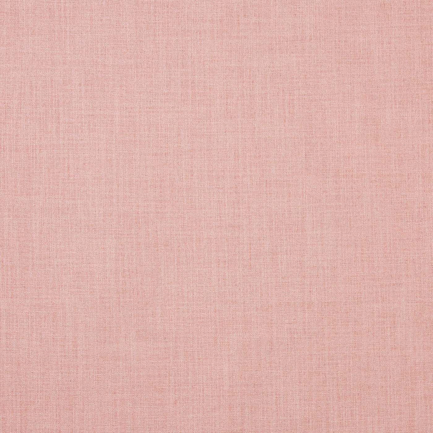 Saxon Blush Roman Blind