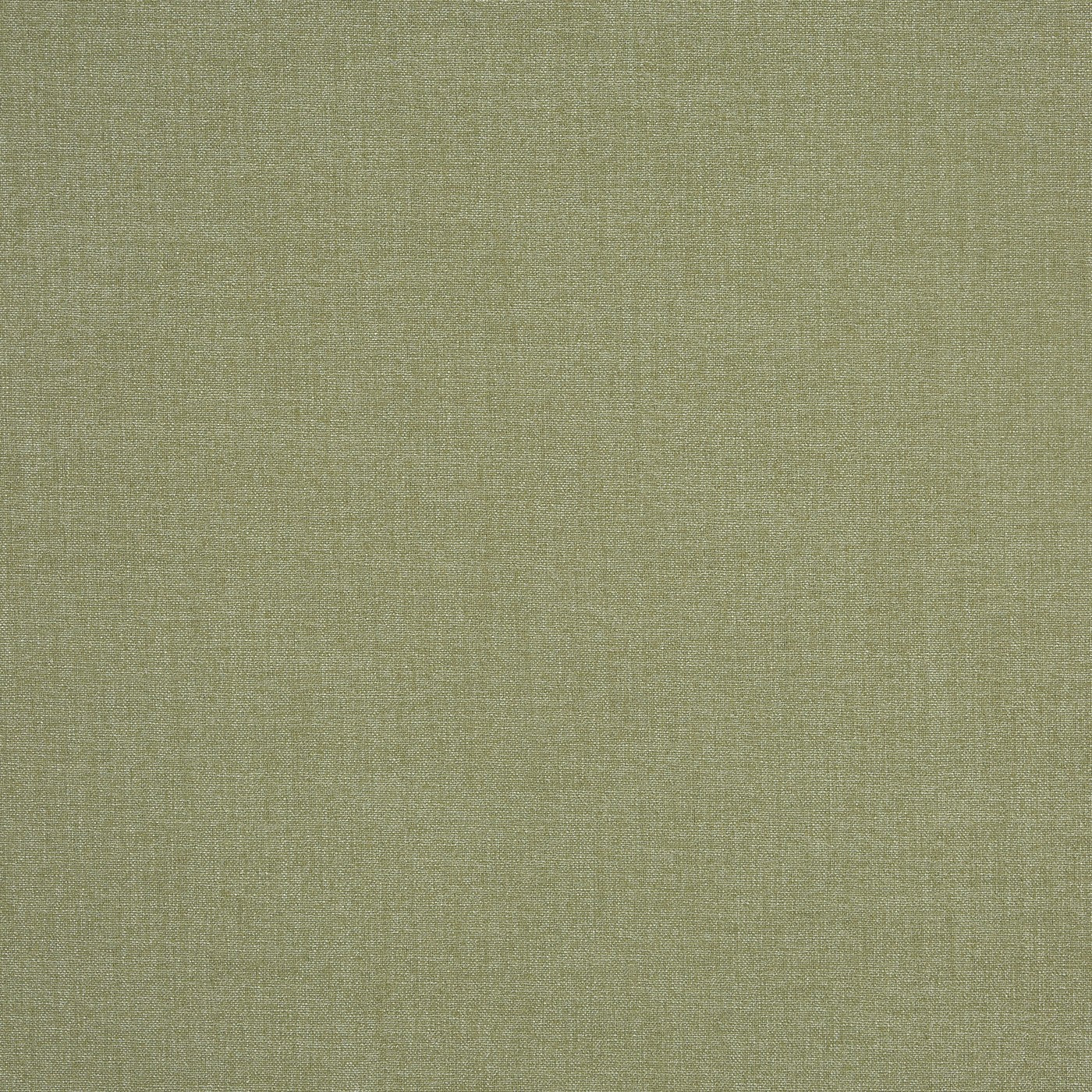 Saxon Glade Curtains