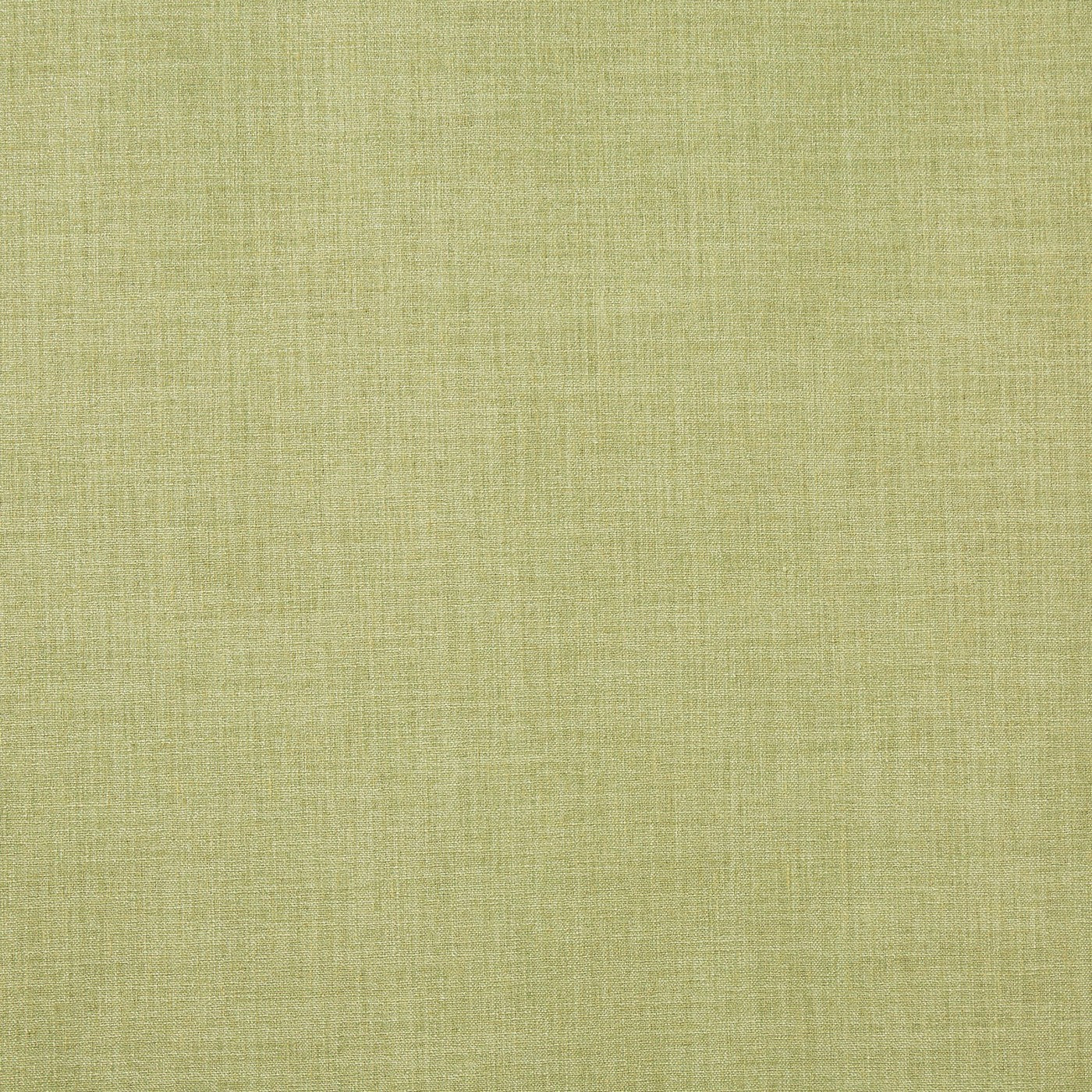 Saxon Kiwi Curtains