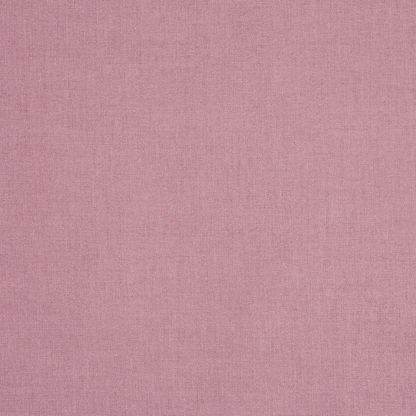 Saxon Petunia Roman Blind