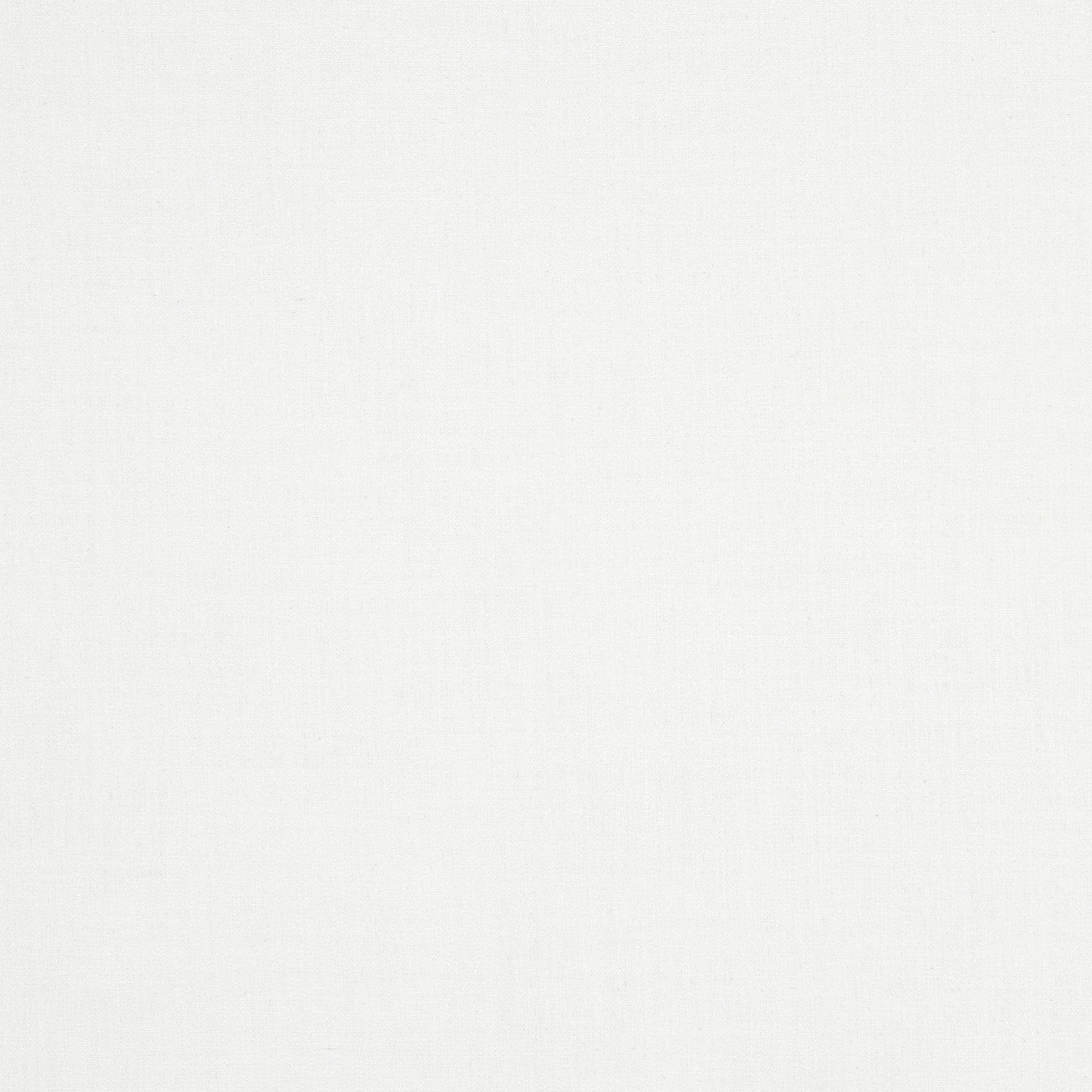 Saxon Snow Roman Blind