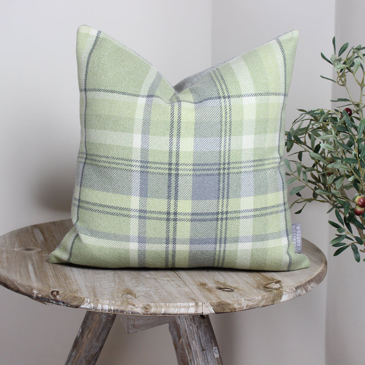 Sage Skye Checked Cushion