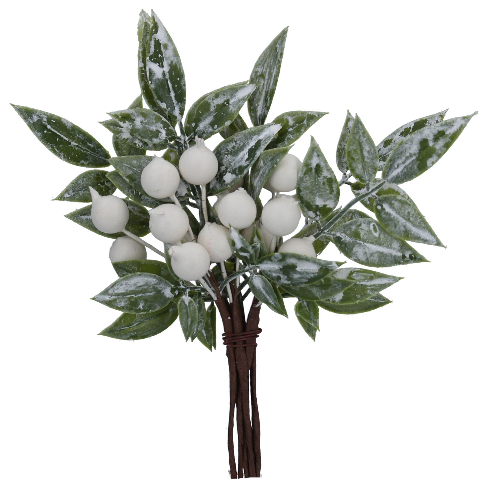 Frosted Leaves with White Berries