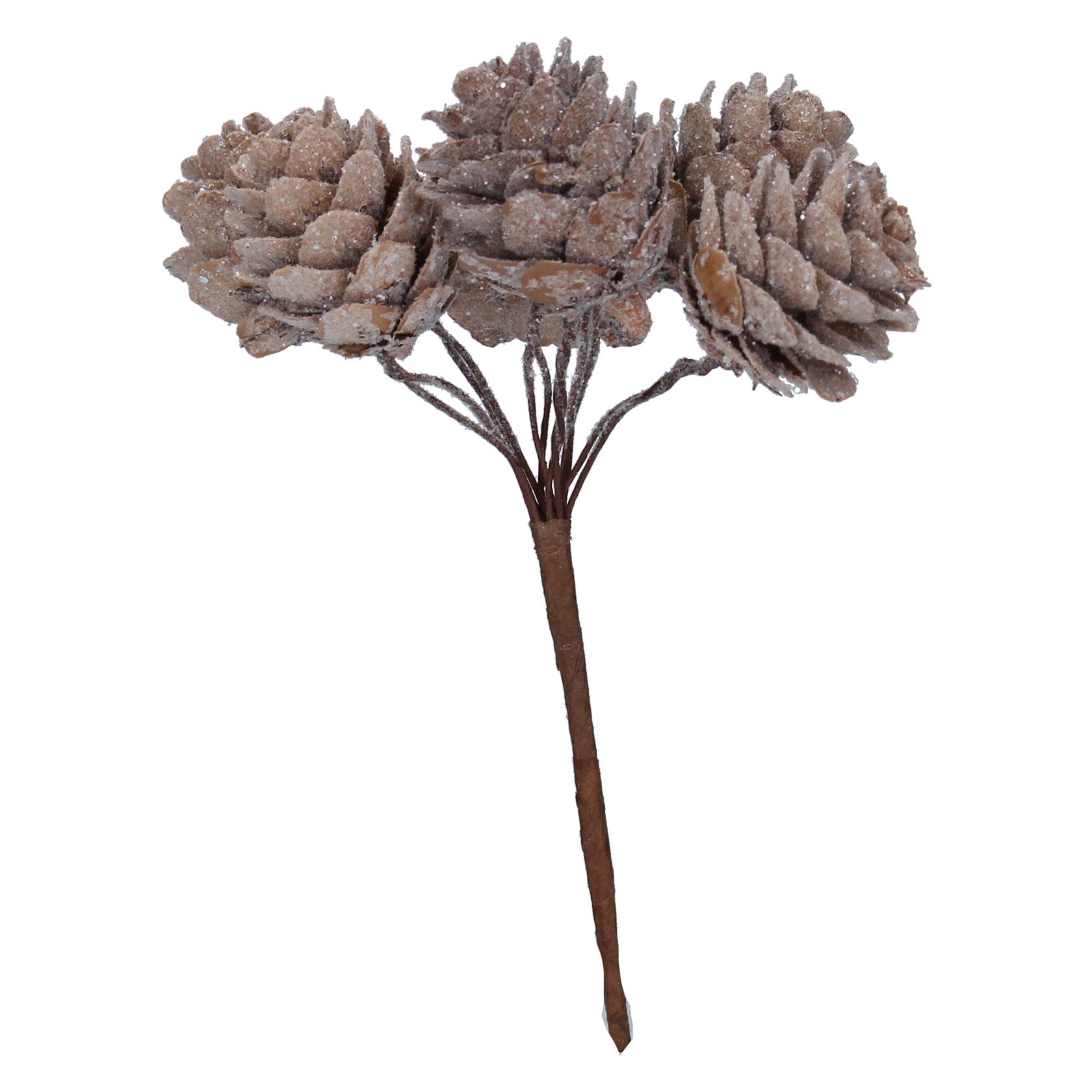 Frosted Natural Cone